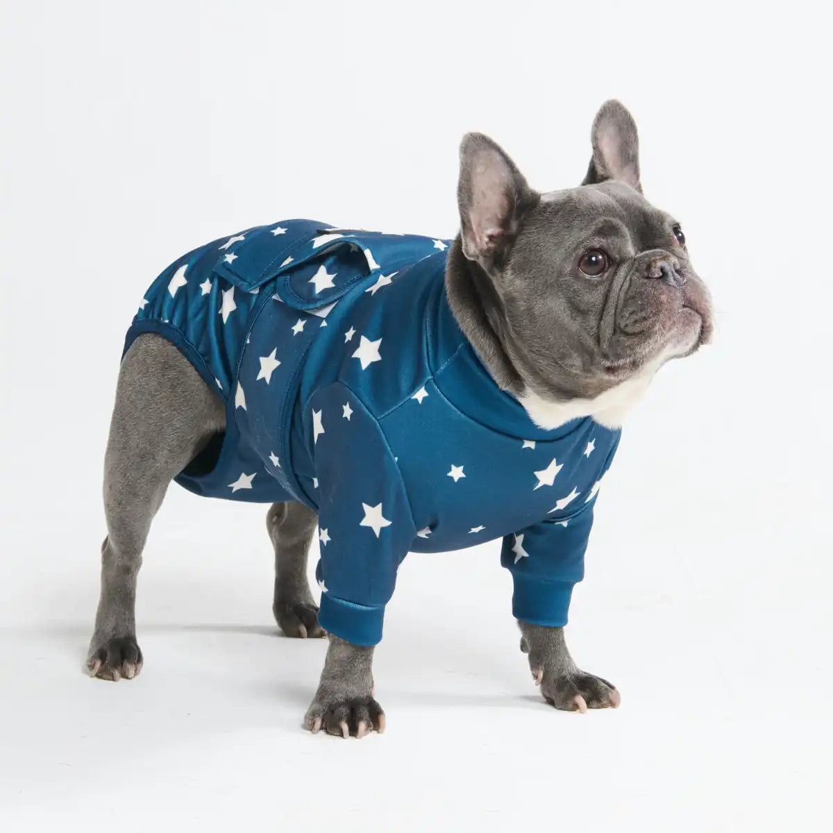 Dog Surgical Suit - Stars