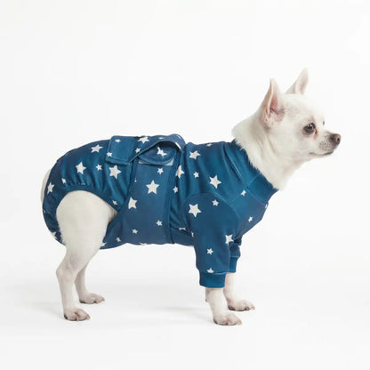 Dog Surgical Suit