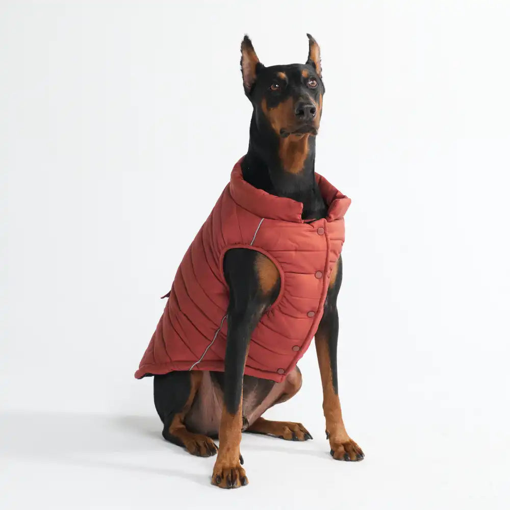 WarmShield Water-Resistant Jackets