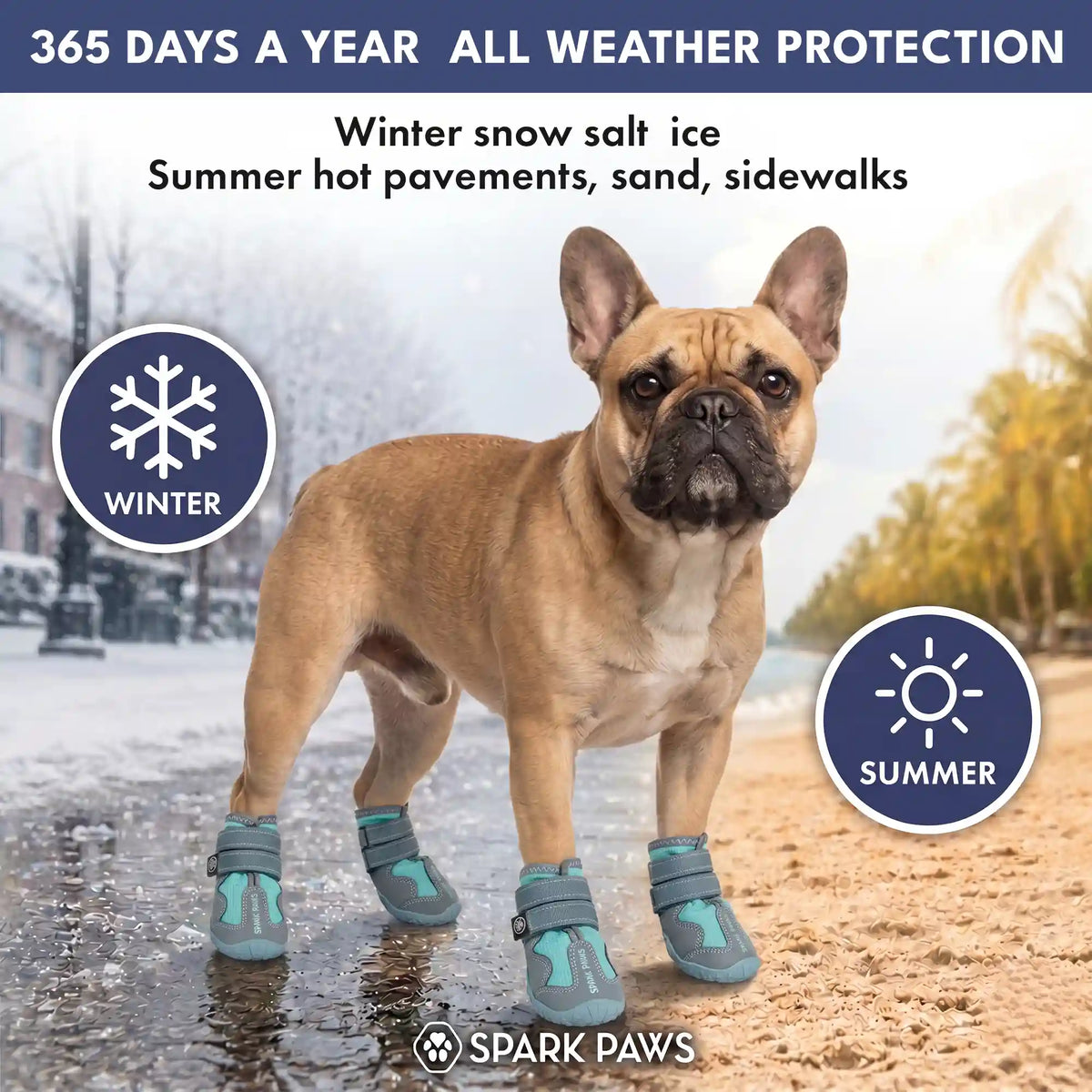 365 All-Season Dog Shoe 4PC Set