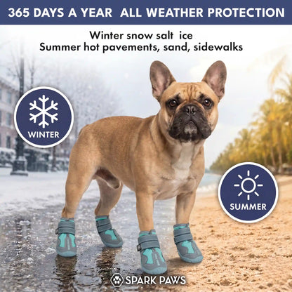 365 All-Season Dog Shoe 4PC Set - Teal