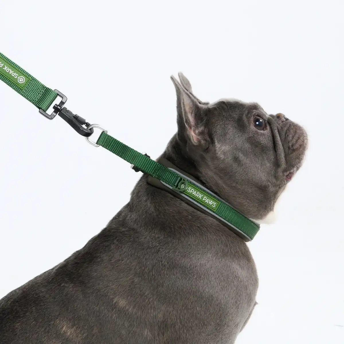 Cushioned Martingale Collars