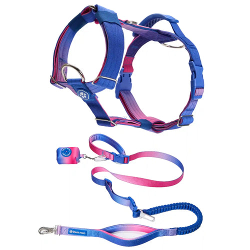 Comfort Control No-Pull Dog Harness and Multipurpose Leash Set - Snow Cone