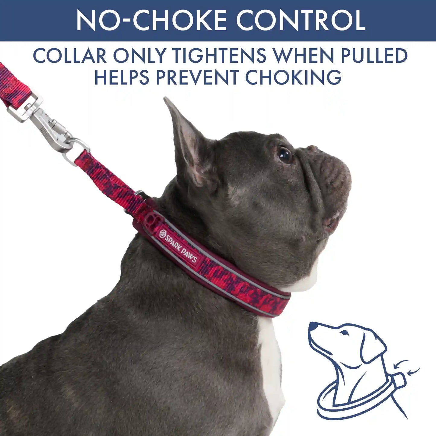 Martingale Collar Set - Fuchsia Camo