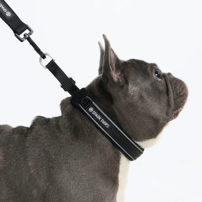 Cushioned Martingale Collars