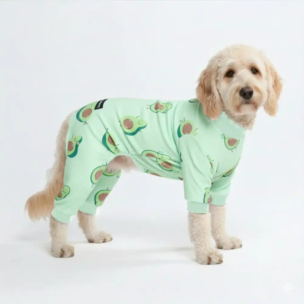 Dog Pajama Prints