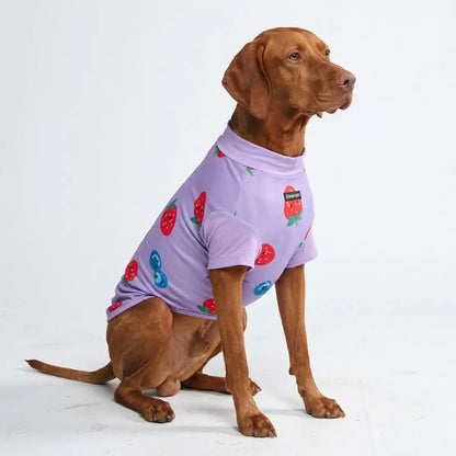 Sunblock Dog T-Shirt - Prints