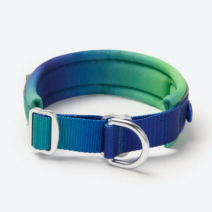 Cushioned Martingale Collars