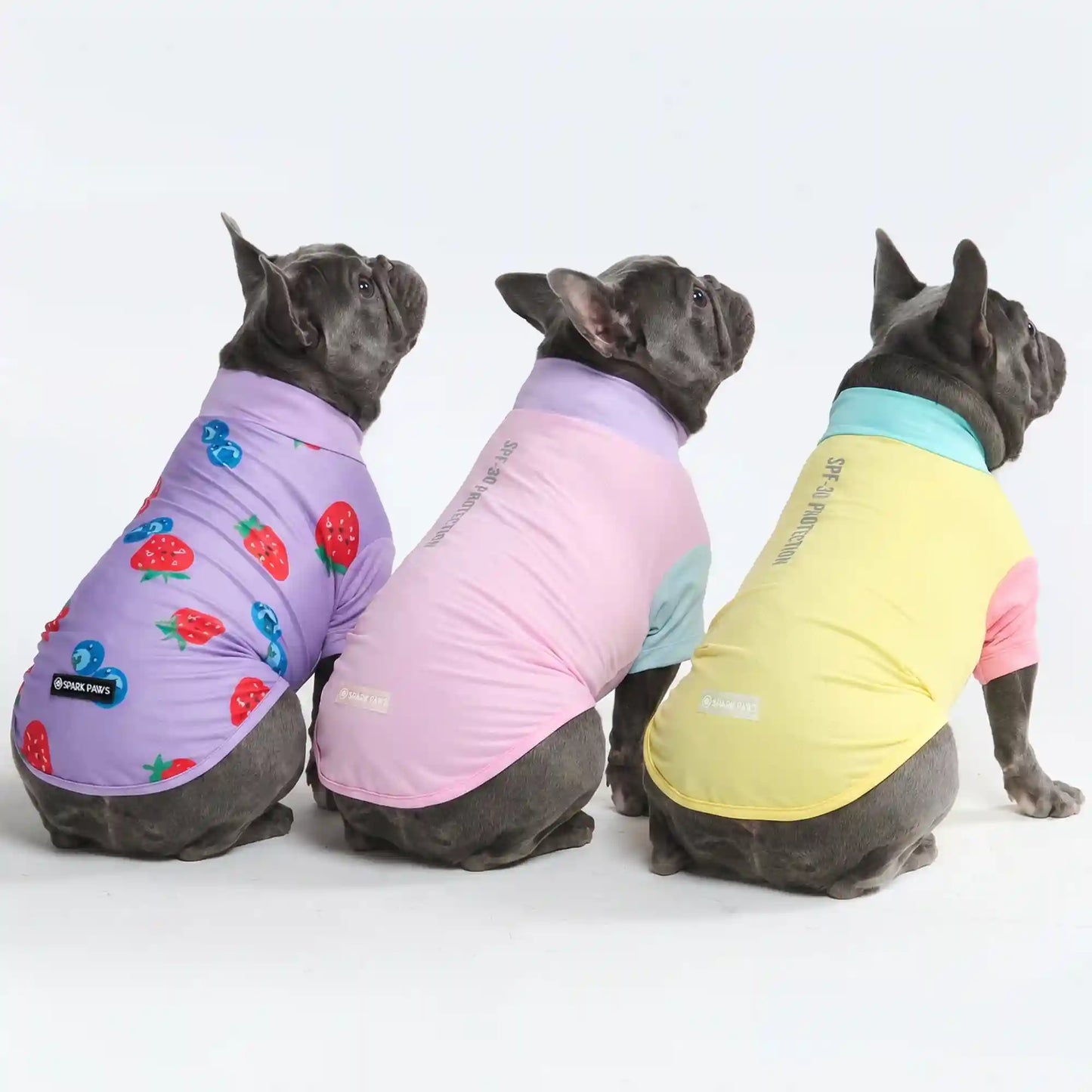 Sunblock Dog T-Shirt (3-pack) - Gelato, Yuzu, Berries