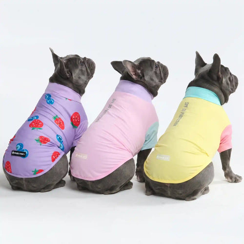 Sunblock Dog T-Shirt (3-pack) - Gelato, Yuzu, Berries