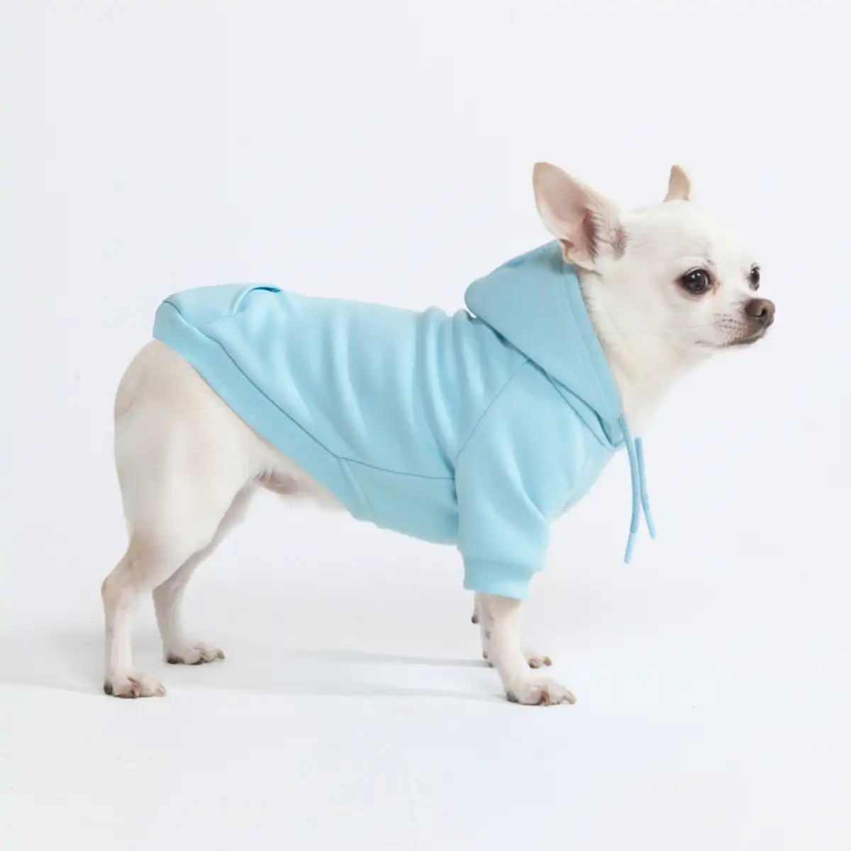 Essential Dog Hoodies