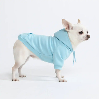 Essential Dog Hoodie - Baby Blue
