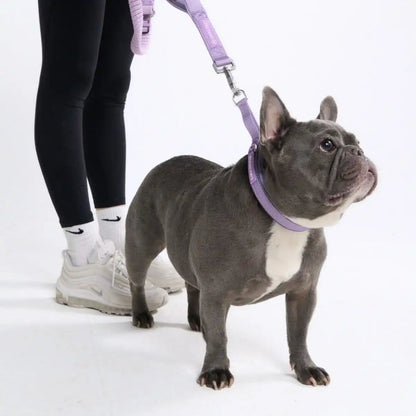 Cushioned Martingale Collar - Lilac