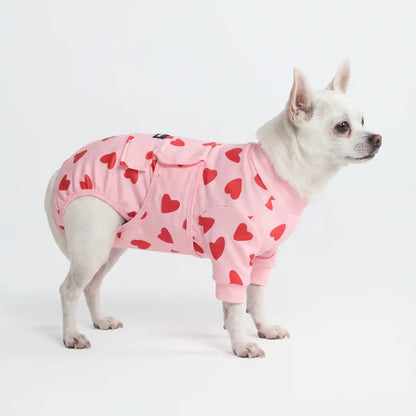 Dog Surgical Suit