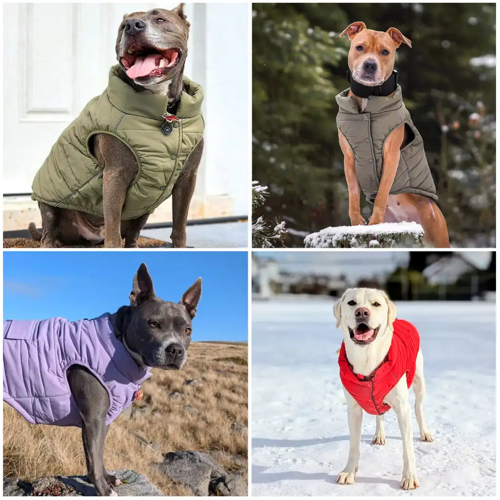 WarmShield Water-Resistant Jackets