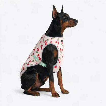 Chilltech™ Dog Cooling Vests