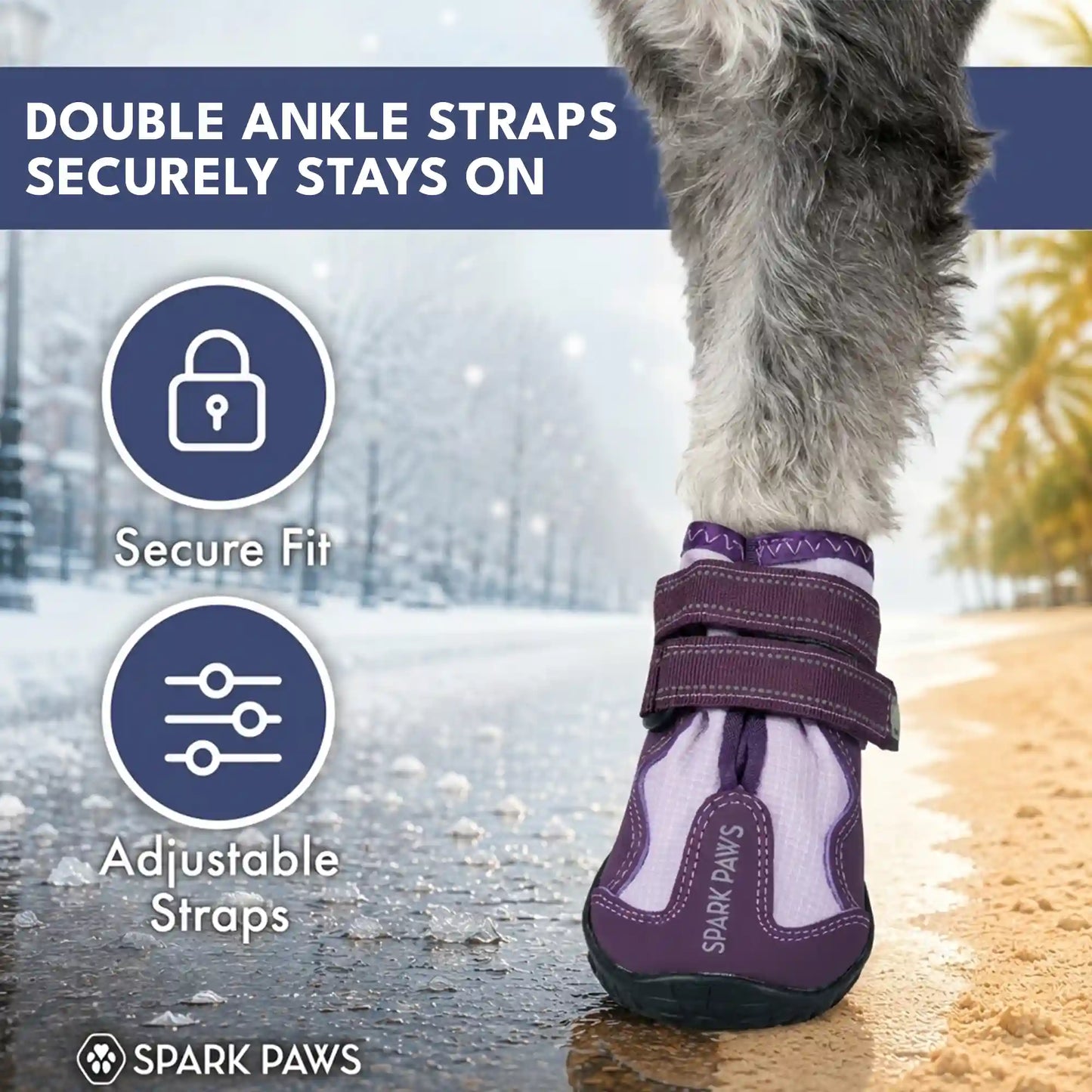 365 All-Season Dog Shoe 4PC Set