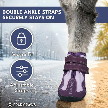 365 All-Season Dog Shoe 4PC Set - Purple