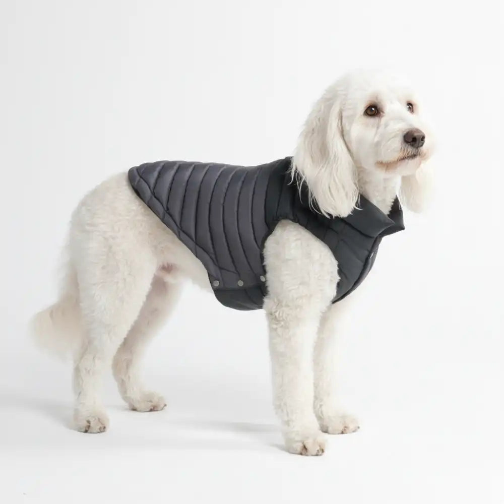 PuffShield Winter Jackets