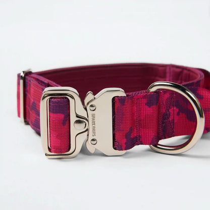 Comfort Control Dog Collars