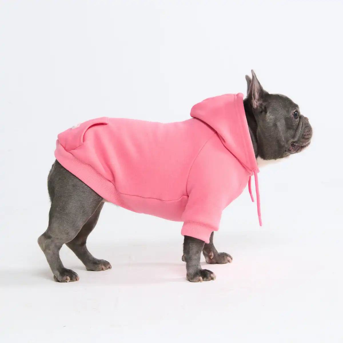 Essential Dog Hoodies