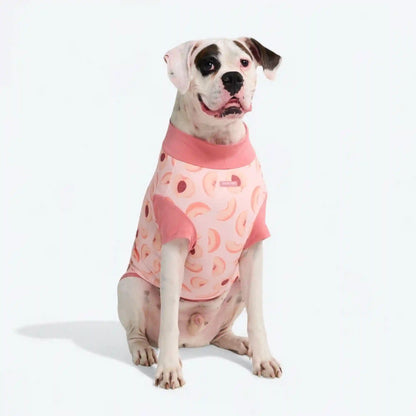 Sunblock Dog T-Shirt - Prints