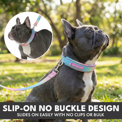 Martingale Collar Sets
