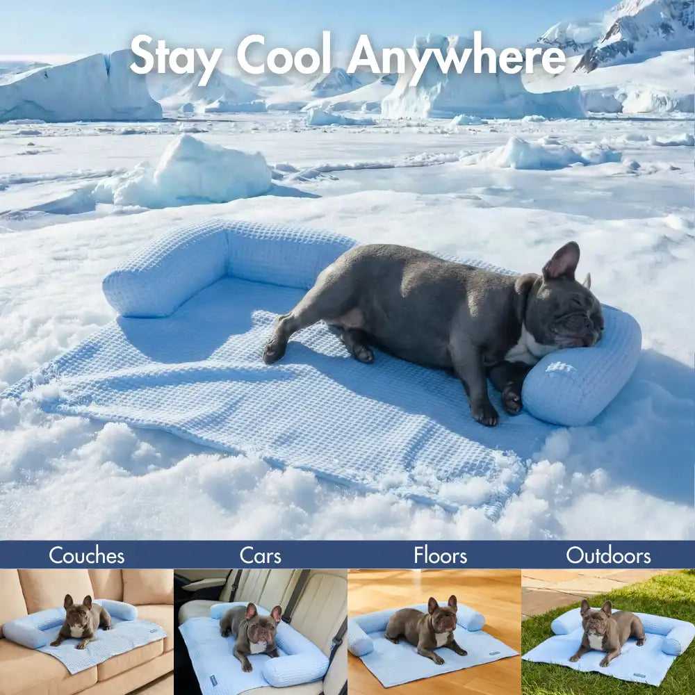 Frostcore™ Cooling Couch Cover Dog Bed