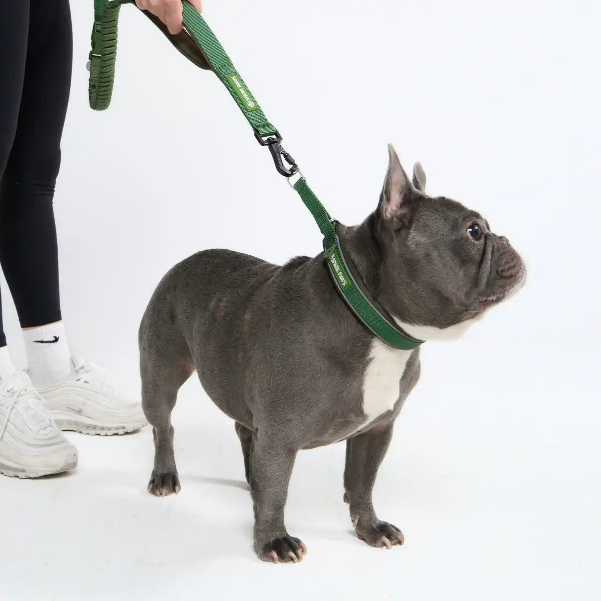 Cushioned Martingale Collars