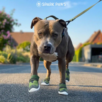 Hot Pavement Pawtector Dog Shoes