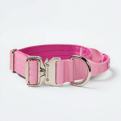 Comfort Control Dog Collars
