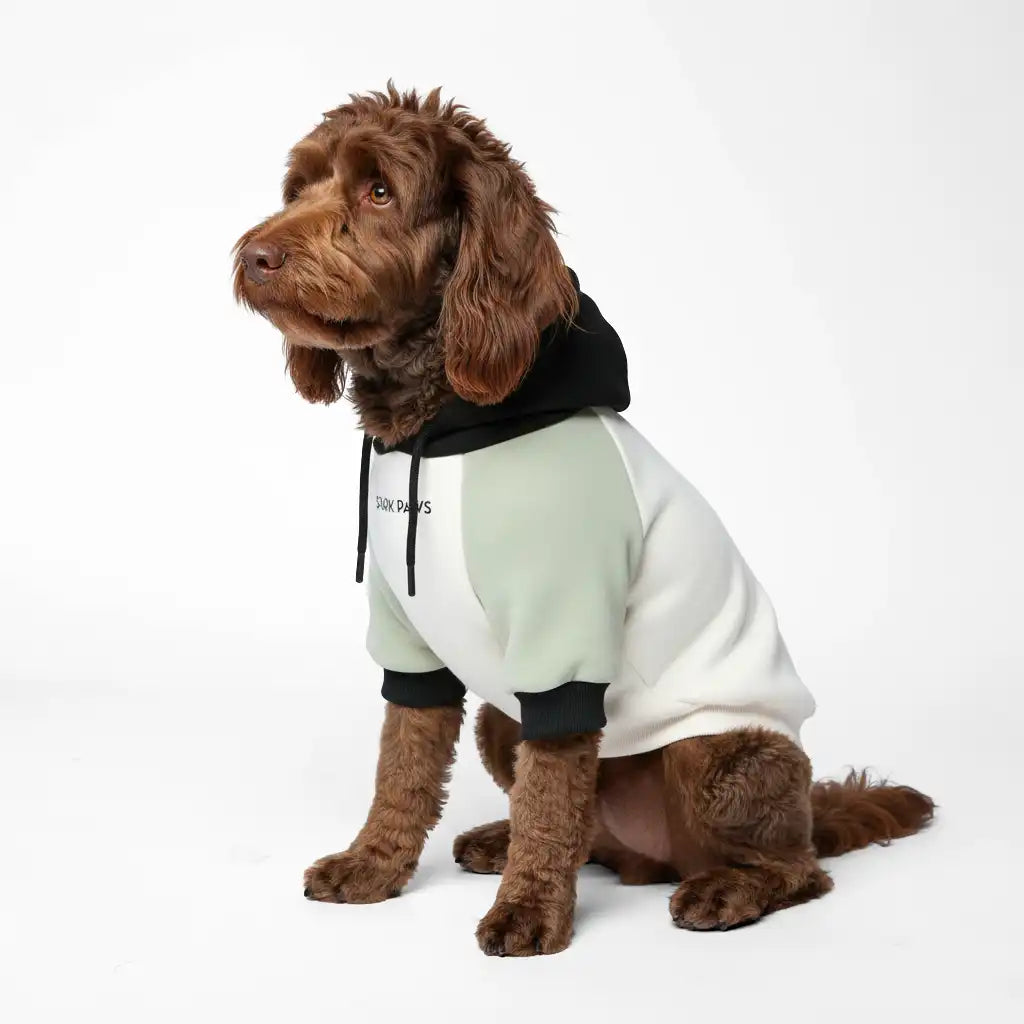 Color Block Dog Hoodies