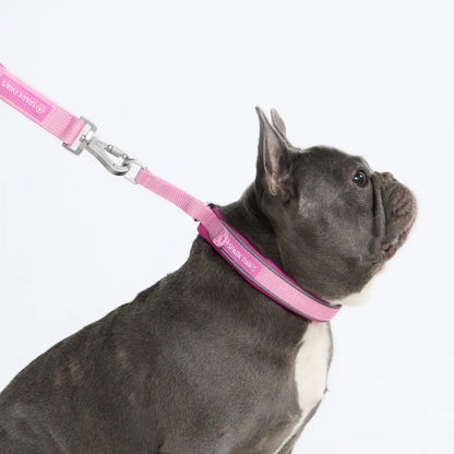 Cushioned Martingale Collars