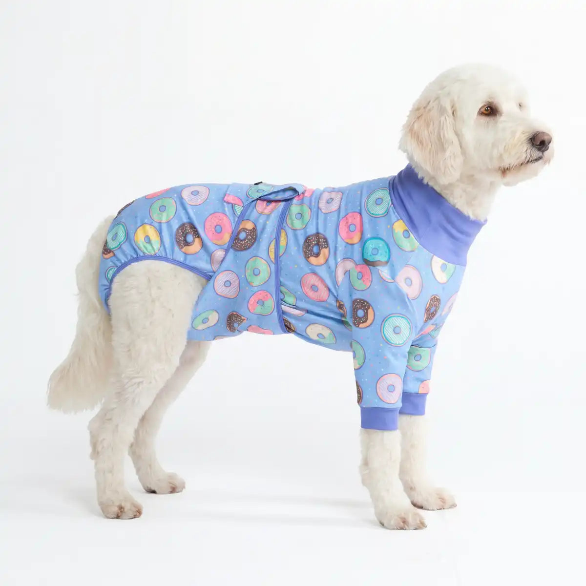 Dog Surgical Suit