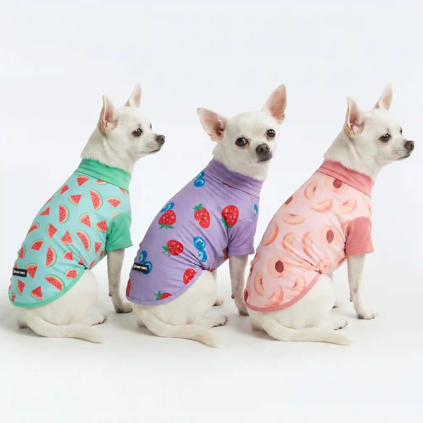 Sunblock T-Shirt 3 Pack