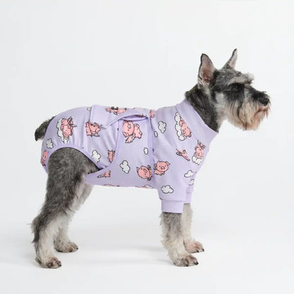 Dog Surgical Suit