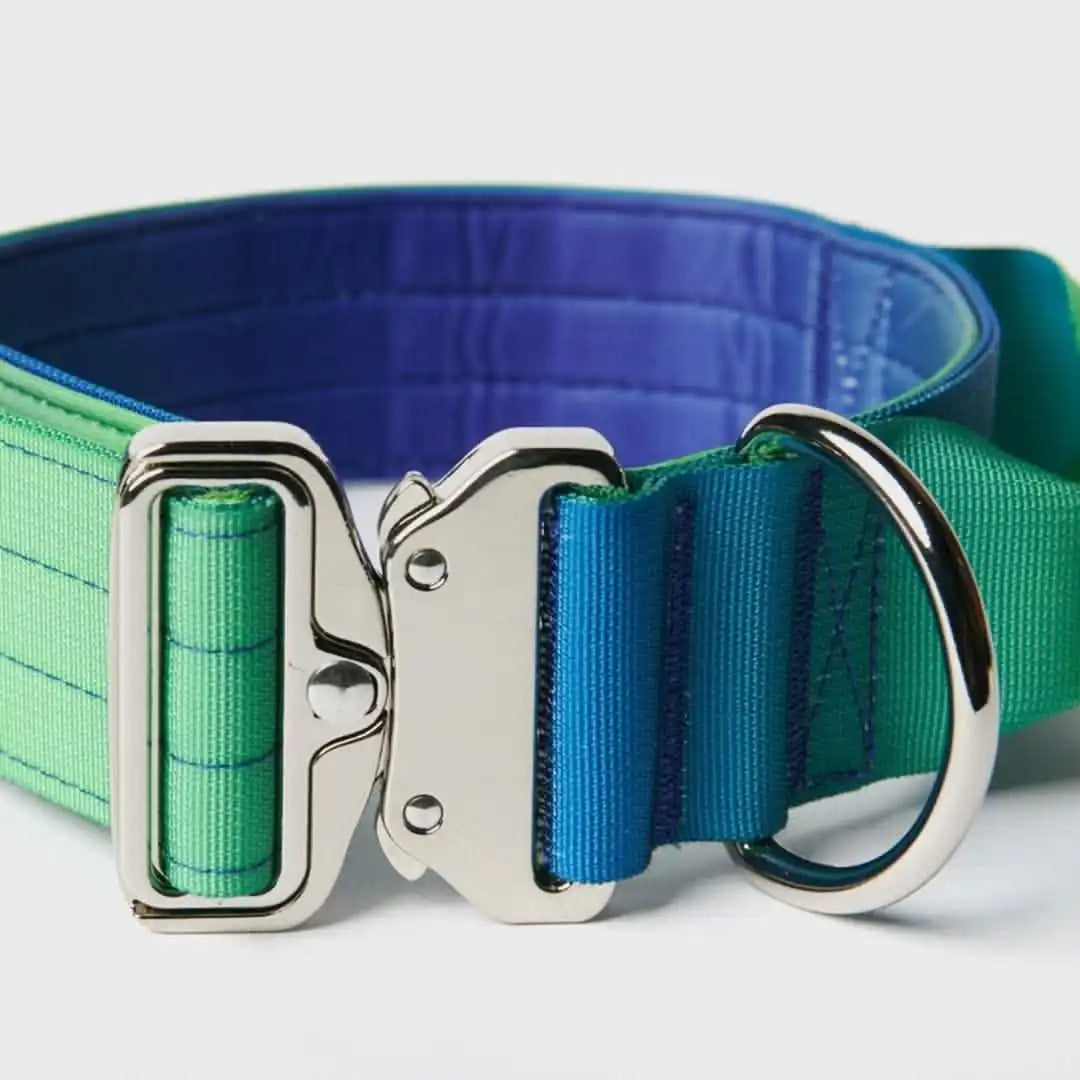 Comfort Control Dog Collars