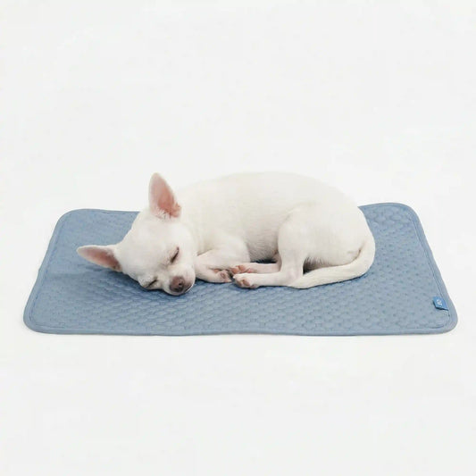Frostcore™ Cooling Mat - Ash Blue