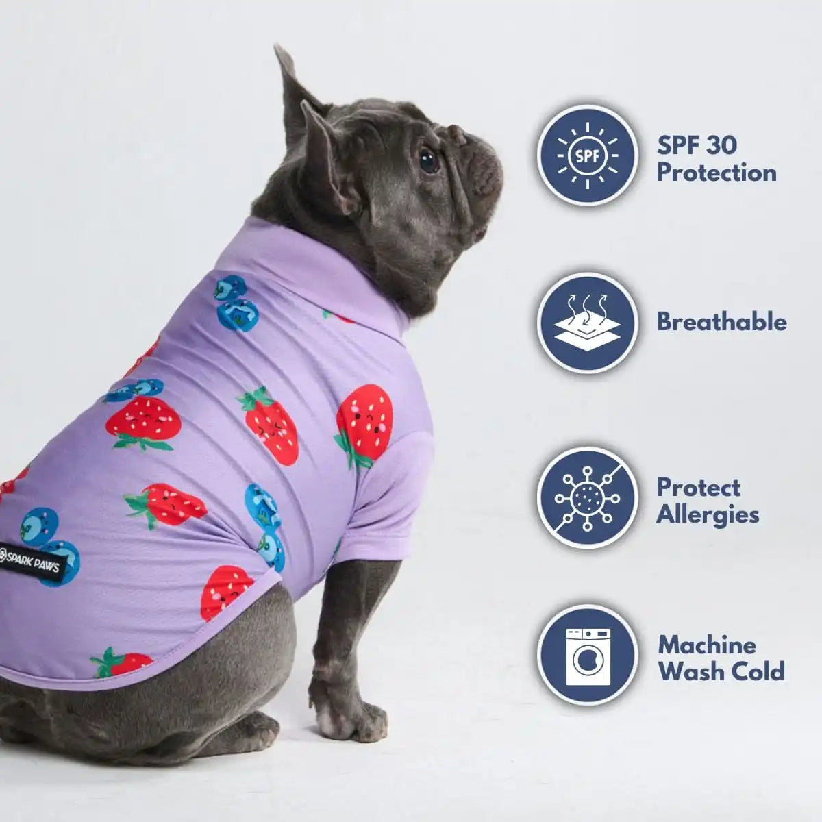 Sunblock Dog T-Shirt - Berries