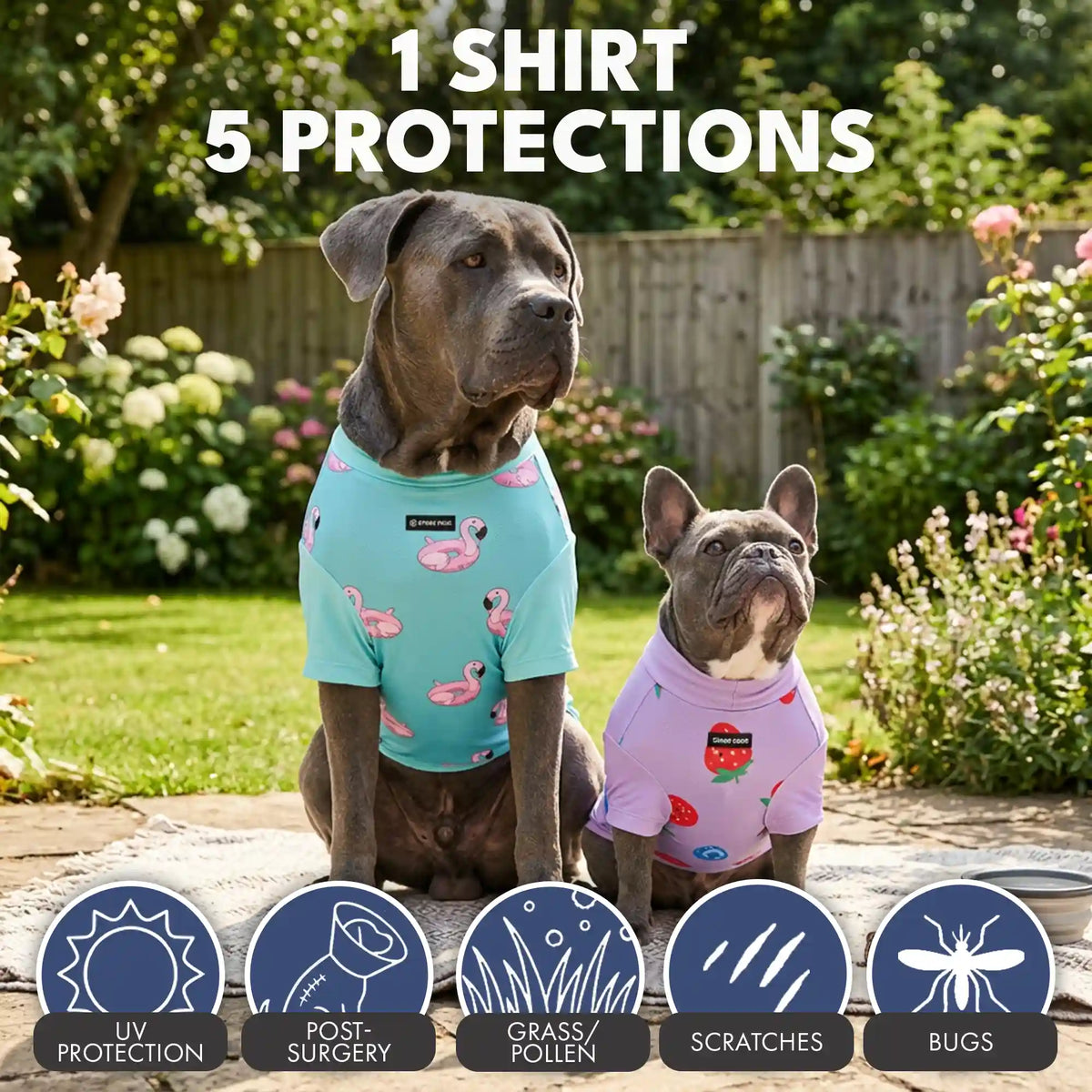 Sunblock Dog T-Shirt (2-pack) - Berries Flamingo