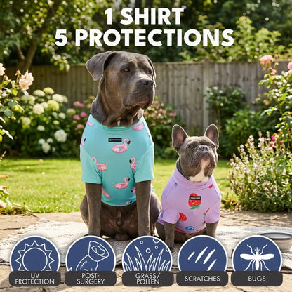 Sunblock Dog T-Shirt (2-pack) - Berries Flamingo