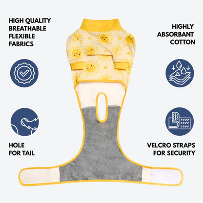 Dog Surgical Suit
