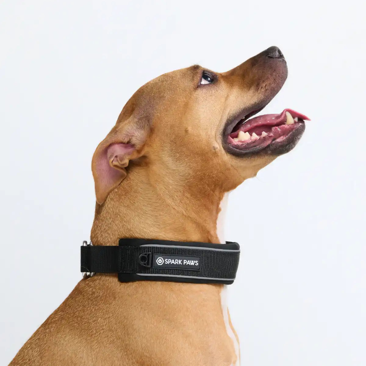 Cushioned Martingale Collars