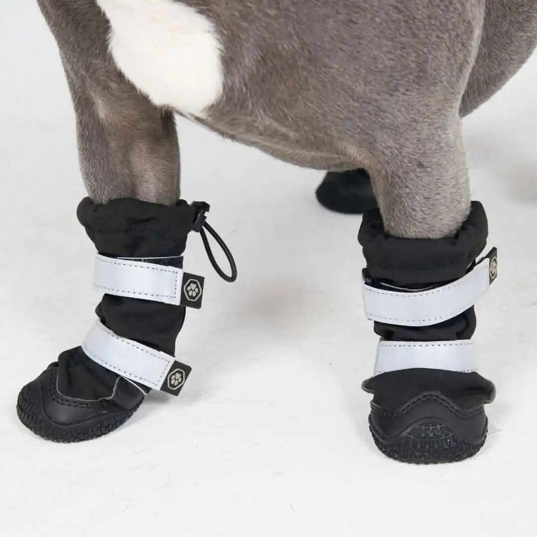 Dog Rainboots, Waterproof Dog Shoes - Black (2)