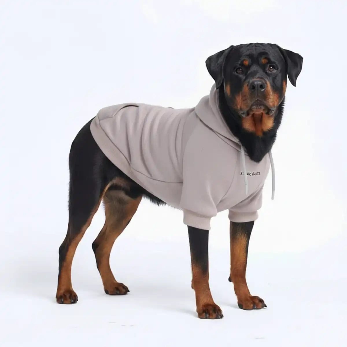 Essential Dog Hoodies