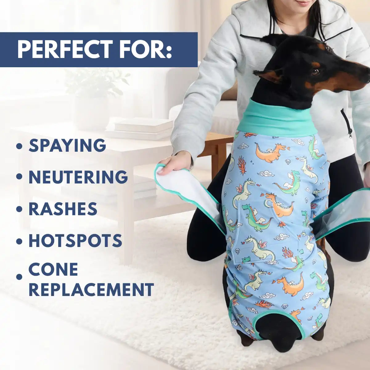 Dog Surgical Suit - Dragons