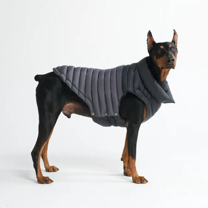 PuffShield Winter Jacket - Black