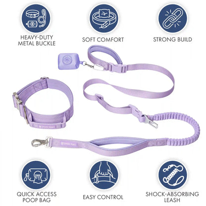 Comfort Control Collar and Multipurpose Leash Set - Lilac