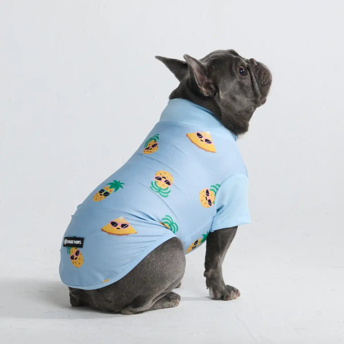Sunblock Dog T-Shirt - Prints