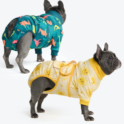 Dog Surgical Suit  (2-pack) - Dinosaurs and Sunshine
